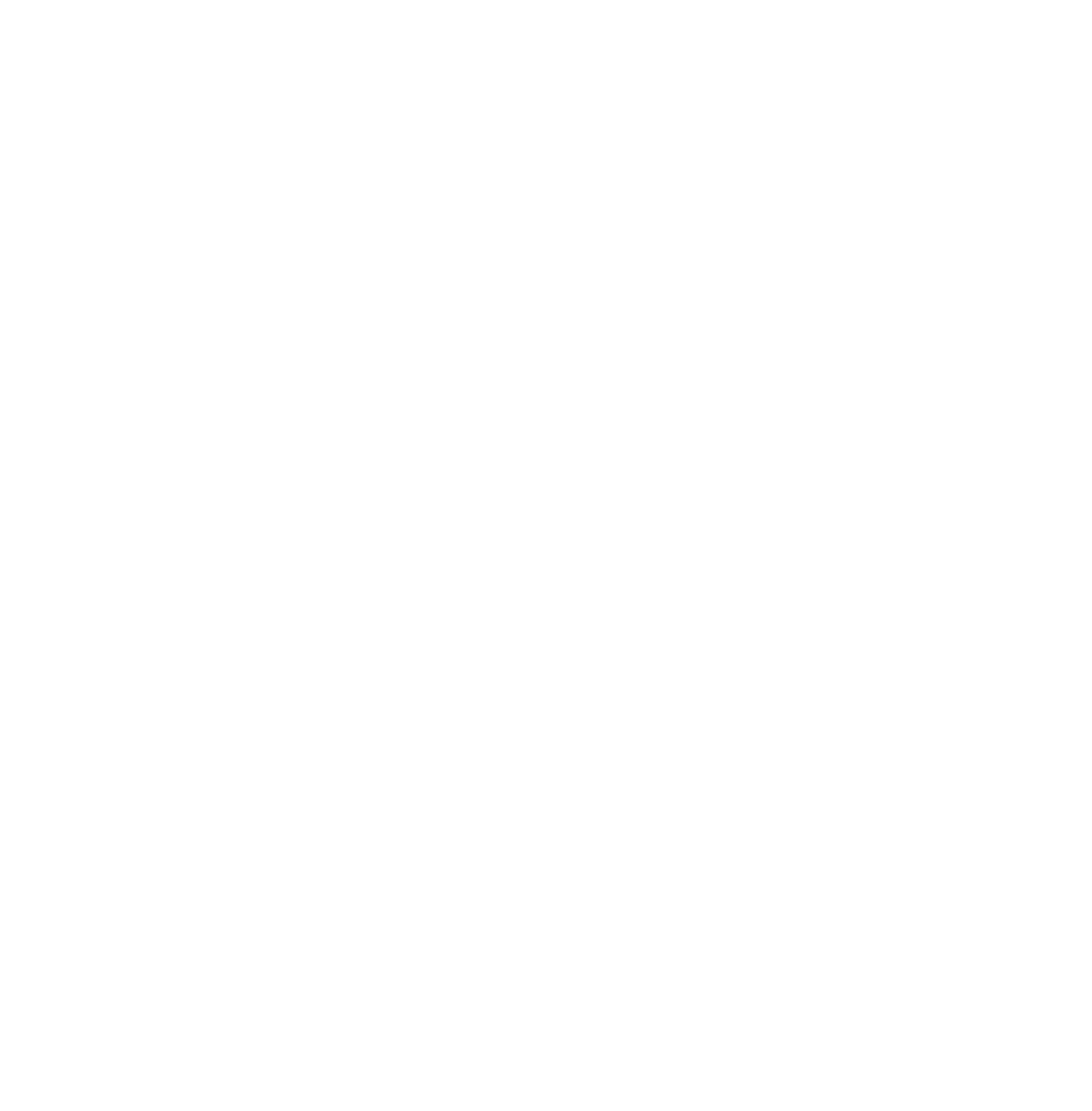 PPAI-100_IPU-Web